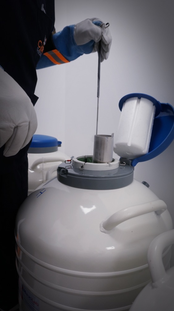 Cryogenic embryo storage