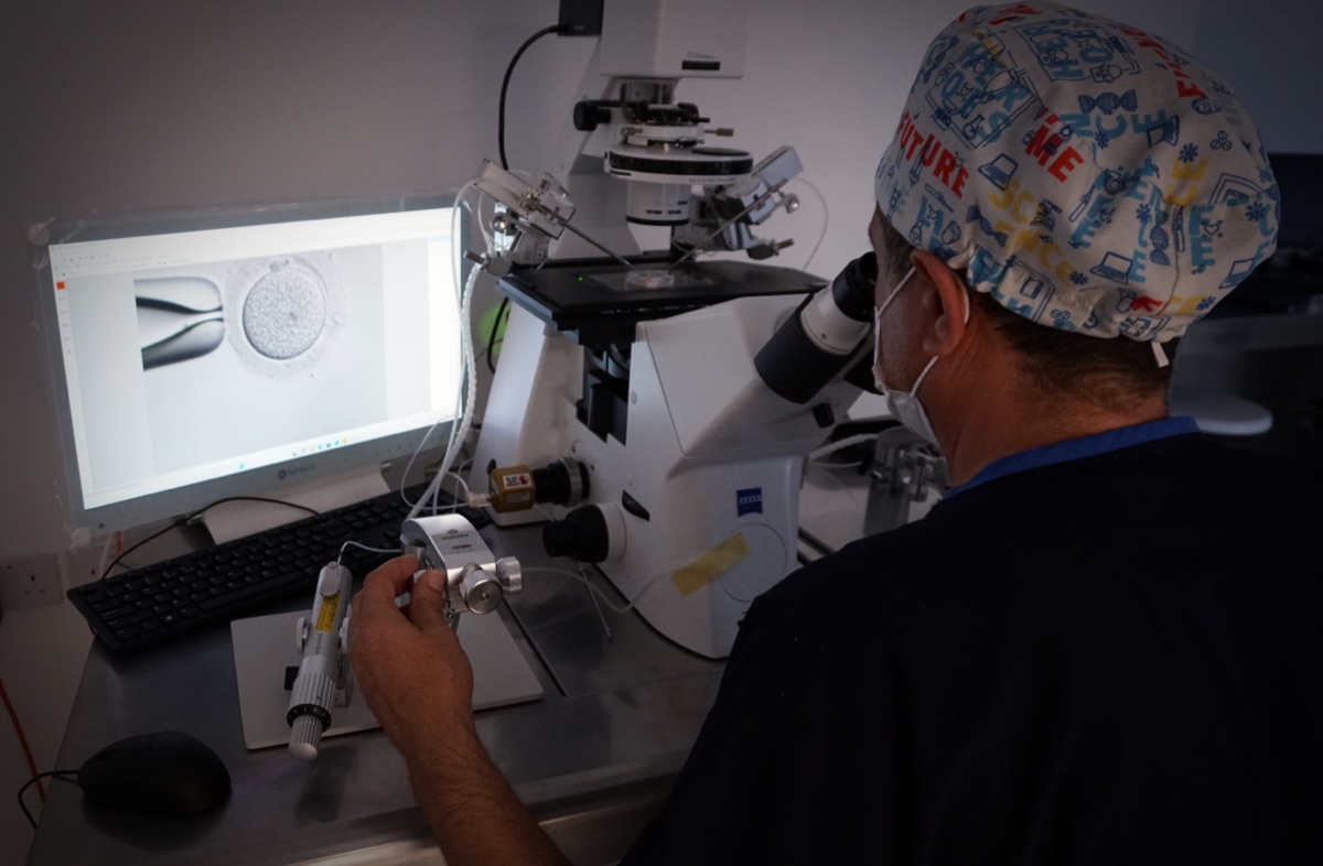 Embryo under the microscope on the laboratory screen